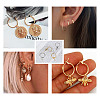 Stainless Steel Hoop Earrings STAS-TA0001-23B-12