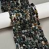 Natural Indian Agate Beads Strands G-Q060-D08-01-1