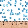 6/0 Baking Paint Transparent Fringe Glass Seed Beads X1-SEED-N006-06L-4