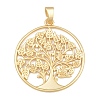 Alloy Big Pendants AL-CBA1187-03B-MG-1