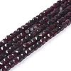Natural Garnet Beads Strands G-L537-007-1