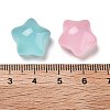 Transparent Resin Decoden Cabochons RESI-B027-04-3