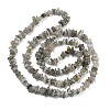 Natural Labradorite Beads Strands G-P332-23-4