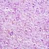 Transparent Glass Seed Beads SEED-N014-01A-04-3