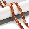 Natural Red Agate Beads Strands G-I369-B11-01-2