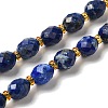 Natural Lapis Lazuli Beads Strands G-H297-C02-01-1