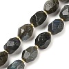 Natural Labradorite Beads Strands G-P541-A01-08-1