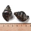 Natural Rhodonite Carved Figurines DJEW-L023-H16-3