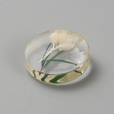 Transparent Resin Pendants RESI-TAC0018-35-1
