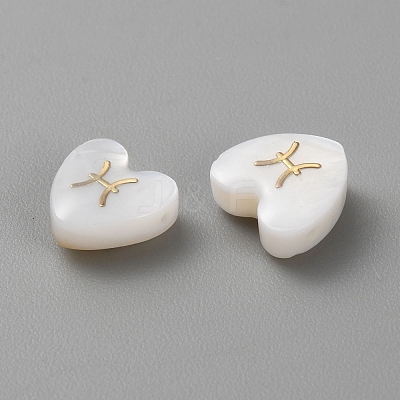 5Pcs Natural White Shell Beads BSHE-TAC0004-02B-1