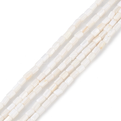 Natural Freshwater Shell Dyed Beads Strands SHEL-M018-12-12-1