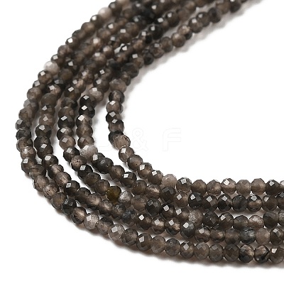 Natural Silver Sheen Obsidian Beads Strands LS-G-E608-A02-A-1