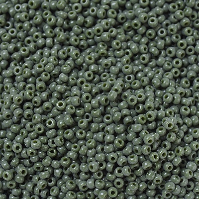 MIYUKI Round Rocailles Beads SEED-G007-RR0501-1