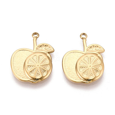 304 Stainless Steel Pendants STAS-T065-73G-1