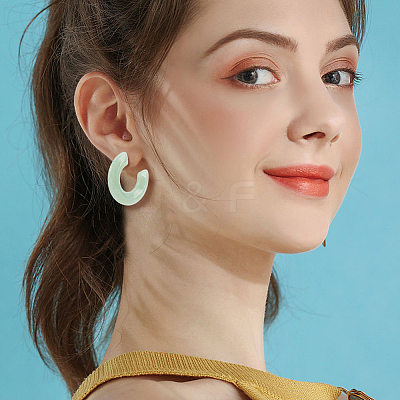 8 Pairs 8 Colors Acrylic Arch Stud Earrings EJEW-AN0003-38-1
