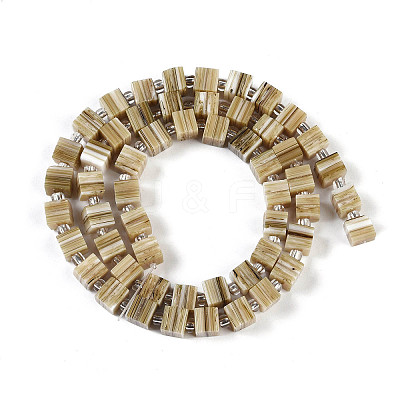 Handmade Nepalese Lampwork Beads Strands LAMP-M019-01I-1