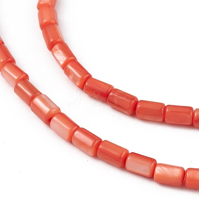 Natural Freshwater Shell Dyed Beads Strands SHEL-M018-12-02-1