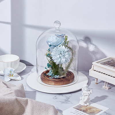 Glass Cloche Dome Covers AJEW-WH0460-033B-1