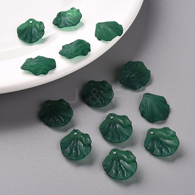 Transparent Frosted Acrylic Pendants MACR-S371-01A-735-1