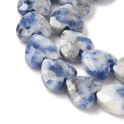 Natural Blue Spot Jasper Beads Strands G-D316-B10-1