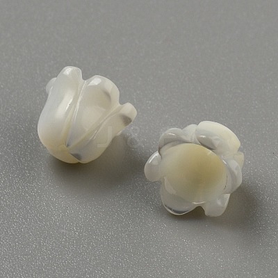 Natural Sea Shell Carved Beads LS-SHEL-WH0001-021A-1