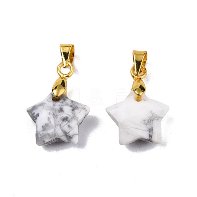 Natural Howlite Charms X-G-N326-142-10-1