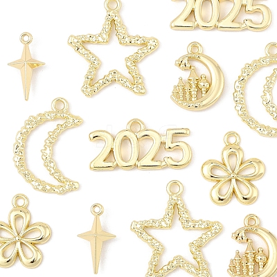 12Pcs 6 Styles Alloy Pendants FIND-FS0003-38G-1