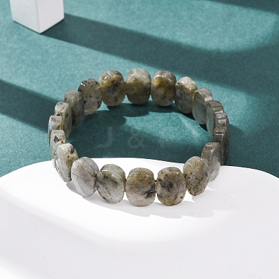 Natural Labradorite Faceted Beaded Stretch Bracelets for Women BJEW-K251-07L-1