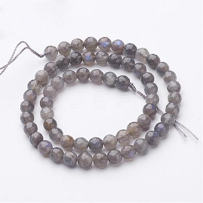 Natural Labradorite Bead Strands G-G947-05-6mm-1