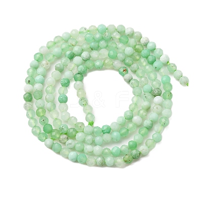 Natural Chrysoprase Beads Strands G-C196-A02-2mm-1