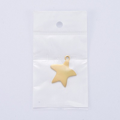 304 Stainless Steel Pendants STAS-I140-13G-1