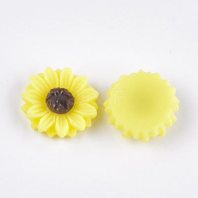 Resin Cabochons CRES-T010-60J-1
