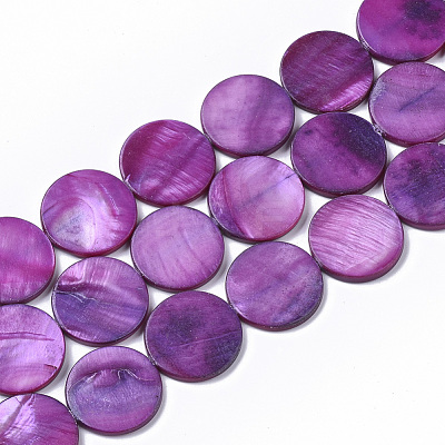Freshwater Shell Beads Strands SHEL-T014-011E-1