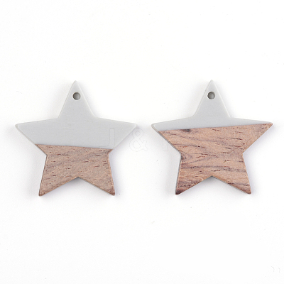 Resin & Wood Pendants X-RESI-T023-23A-1