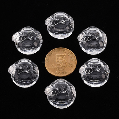 Transparent Acrylic Pendants TACR-T024-05B-205-1
