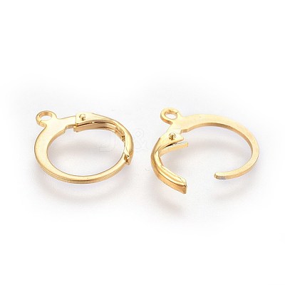304 Stainless Steel Leverback Earring Findings X-STAS-I100-19G-1