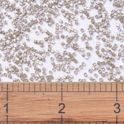 MIYUKI Delica Beads X-SEED-J020-DB0680-1