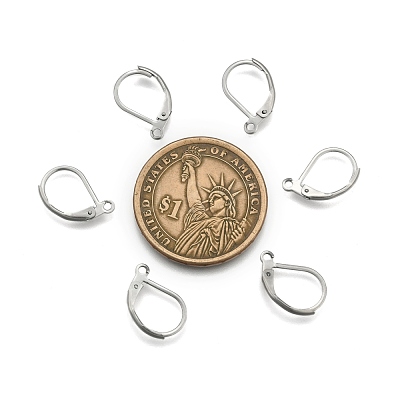 Tarnish Resistant Stainless Steel Color Tone 304 Stainless Steel Leverback Earring Findings X-STAS-E007-3-1