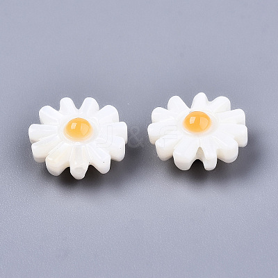 Natural Freshwater Shell Beads SHEL-S266-14A-01-1