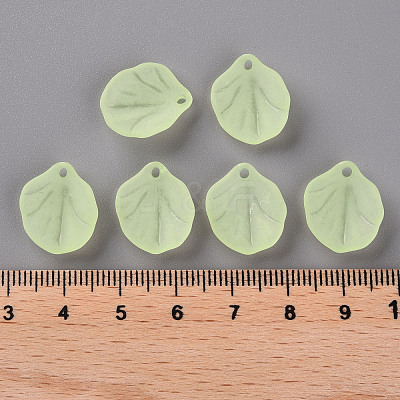 Transparent Frosted Acrylic Pendants MACR-S371-02A-728-1