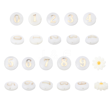 ARRICRAFT 22Pcs 10 Style Natural Freshwater Shell Beads SHEL-AR0001-04-1