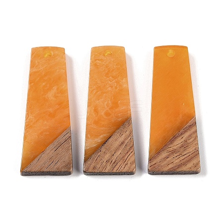 Resin & Wood Pendants WOOD-F015-04C-1