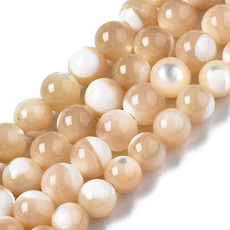 Natural Trochid Shell/Trochus Shell Beads Strands X-SSHEL-S266-023B-02-1