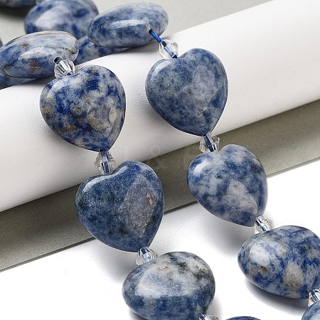 Natural Blue Spot Jasper Beads Strands G-C150-A27-01-1