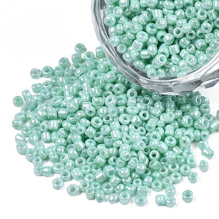 12/0 Glass Seed Beads SEED-S060-A-F408-01-1