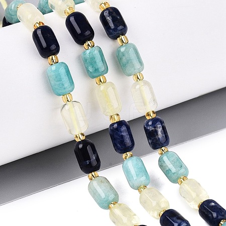Natural Sodalite & Flower Amazonite & Lemon Quartz Beads Strands G-Q614-02A-03-1