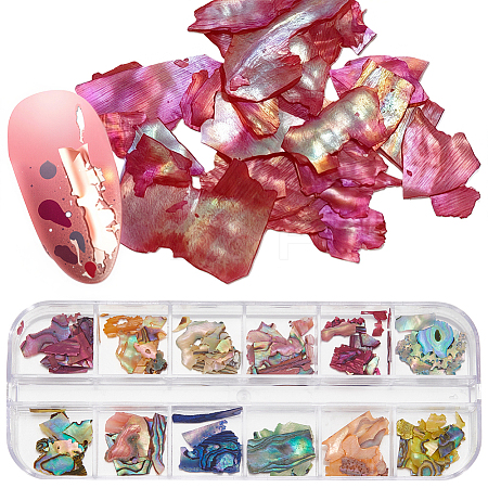1 Set 12 Colors Shell Slices MRMJ-SP0001-05A-1