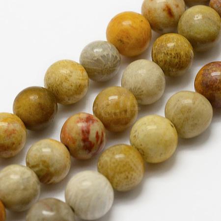 Natural Fossil Coral Beads Strands G-K194-8mm-05-1