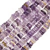 Natural Amethyst Beads Strands G-Z152-F05-02B-2