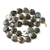 Natural Labradorite Beads Strands G-B044-B21-01-3